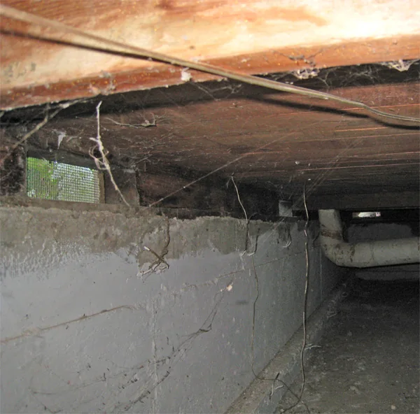 Crawlspace Water Removal in a Denton home