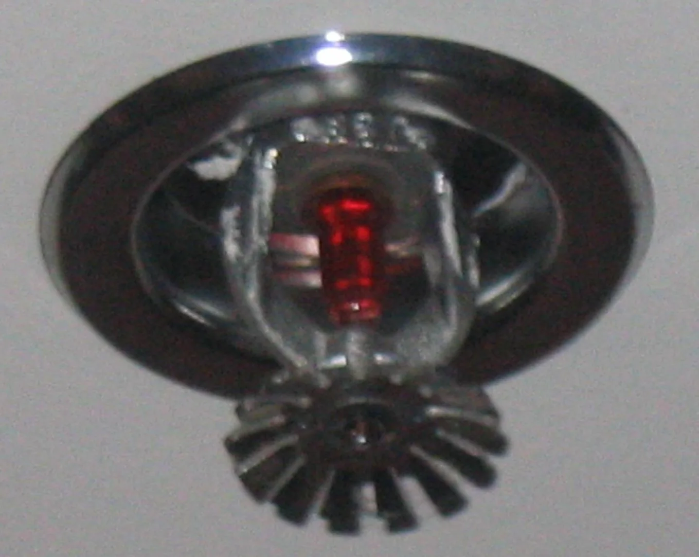 Fire Sprinkler Discharge Cleanup in a Denton home