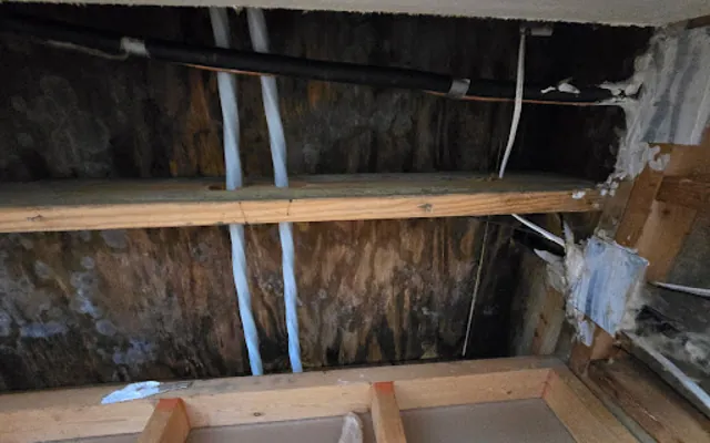 Roof Leak Water Damage in Denton, TX
