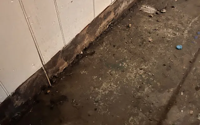 Sewage and Black Water Cleanup in Denton, TX